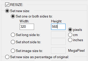 batch image resizing options